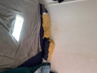 Photo Of Double room available for sharing only for Punjabi boy in West Bromwich
