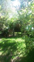 Photo Of Double bedroom in a friendly houshare in St George