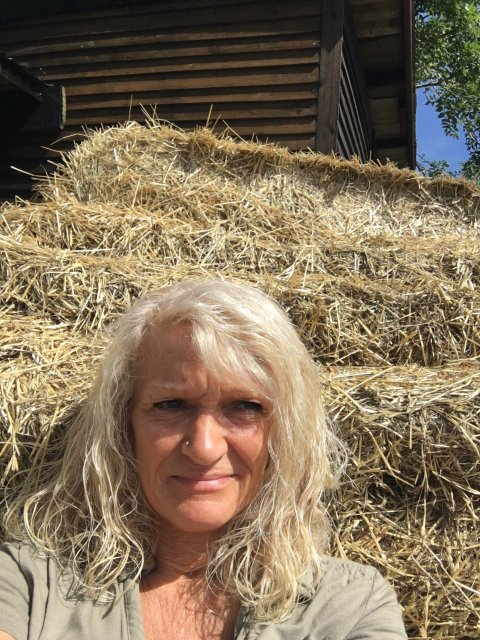 lynda hustwick's Profile Image