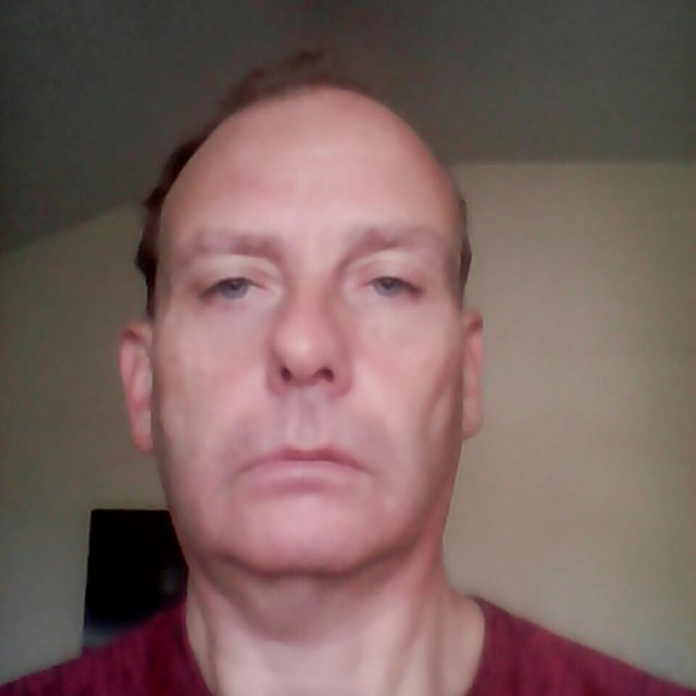 David User Image